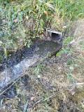 IMG-20191014-WA0003