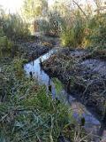 IMG-20191014-WA0004
