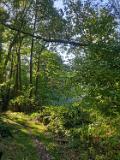 IMG-20191014-WA0005