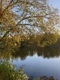 IMG-20191014-WA0007