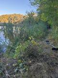 IMG-20191014-WA0009
