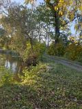 IMG-20191014-WA0010