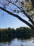 IMG-20191014-WA0011