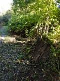 IMG-20191014-WA0013