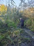IMG-20191014-WA0019