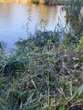 IMG-20191014-WA0021