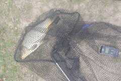 IMG-20260418-WA0000-1