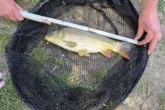 IMG-20250601-WA0010